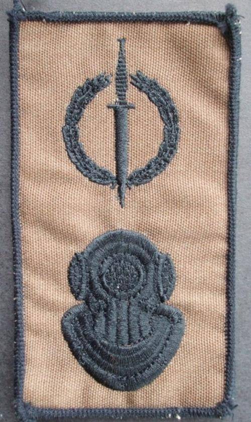 RECCE operator & Diver Badge